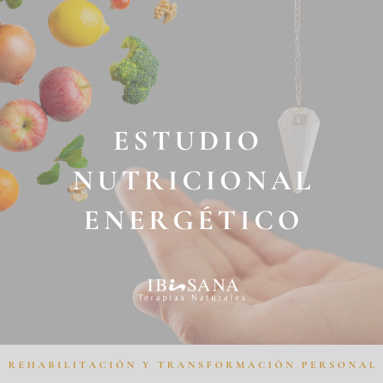 Estudio Nutricional Energetico
