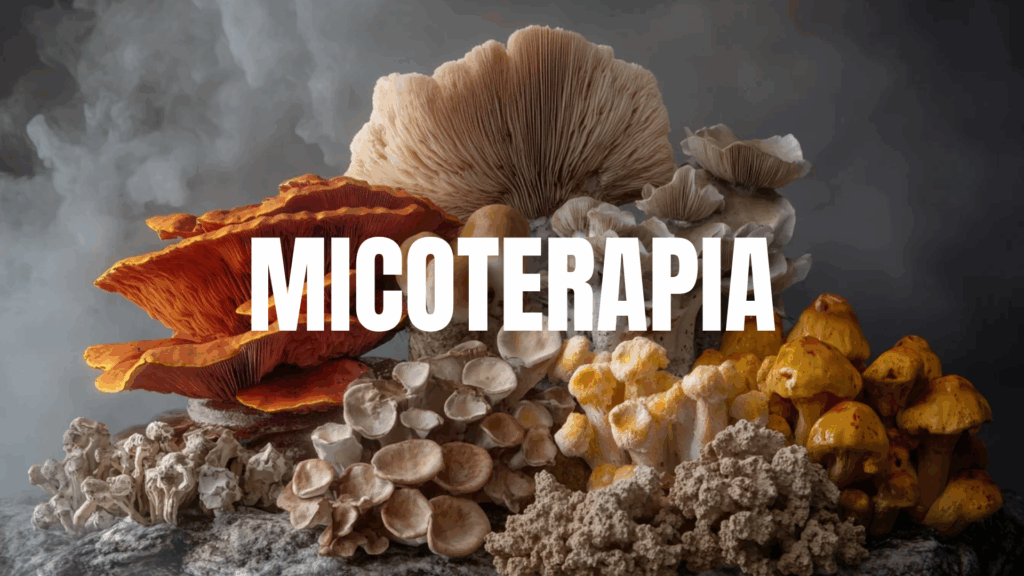 Micoterapia antes y durante la Menopausia