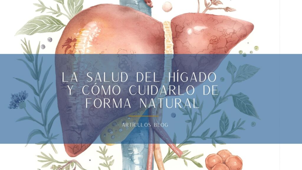 La salud del hígado y cómo cuidarlo de forma natural