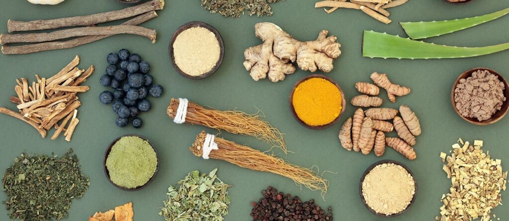 Adaptógenos: Superalimentos para Reducir el Estrés y Mejorar el Equilibrio